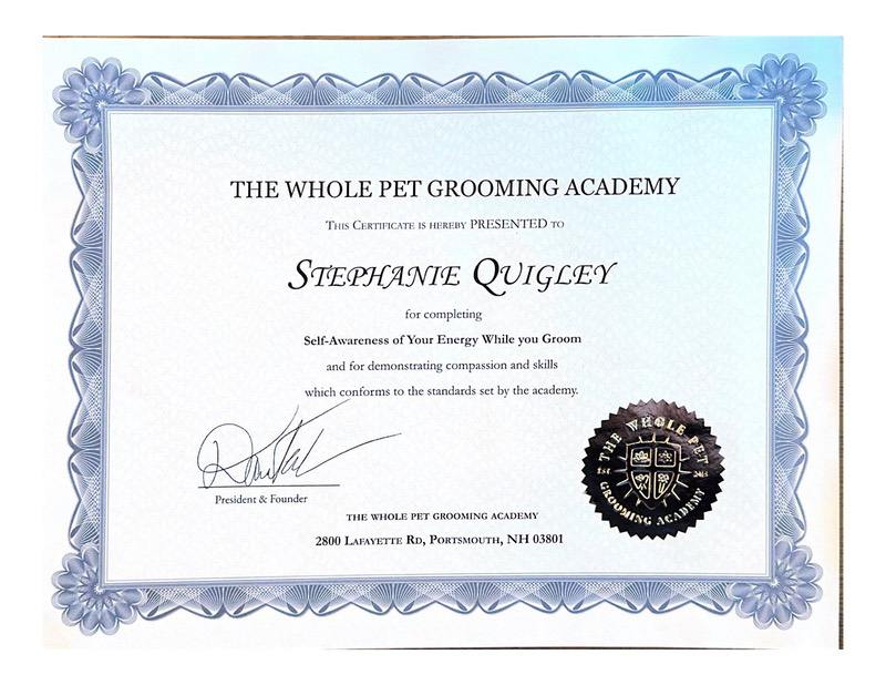 The Whole Pet Grooming Academy copy-06