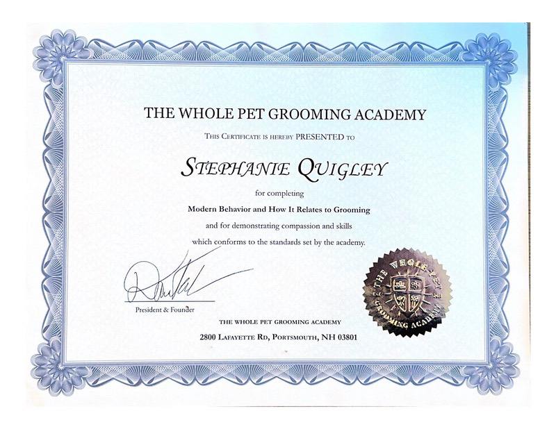 The Whole Pet Grooming Academy copy-07