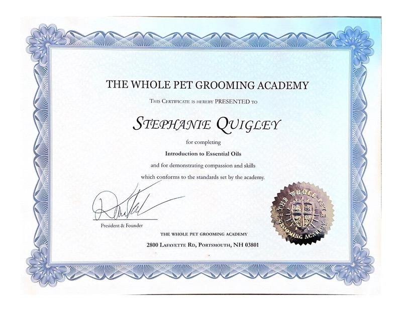 The Whole Pet Grooming Academy copy-09