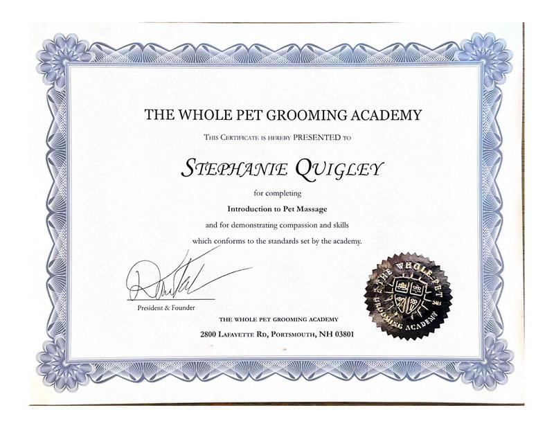 The Whole Pet Grooming Academy copy-10